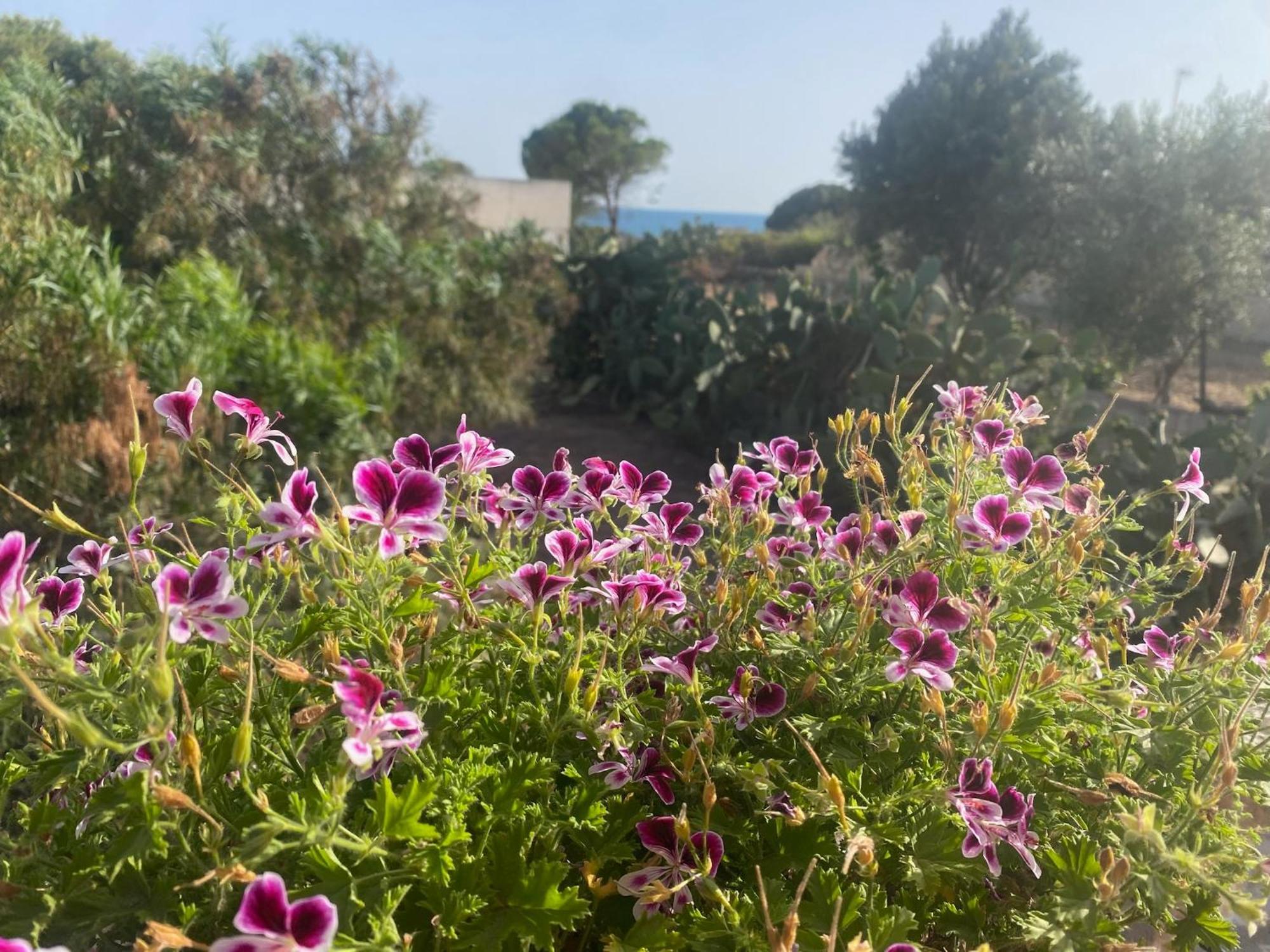 Ificumori, Campagna Ammare Villa Марина ди Модика Екстериор снимка