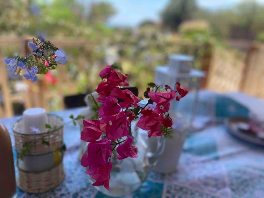 Ificumori, Campagna Ammare Villa Марина ди Модика Екстериор снимка