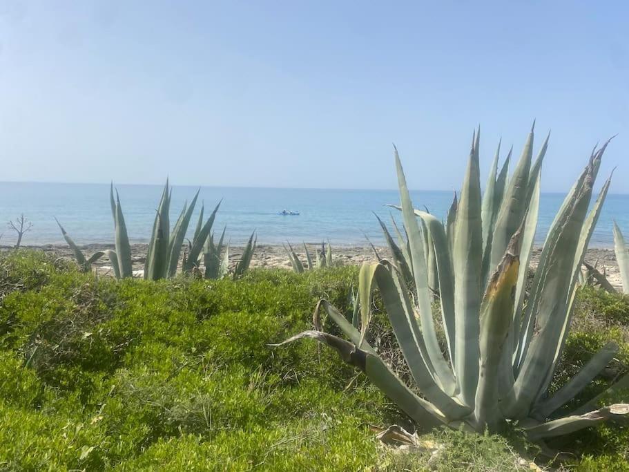 Ificumori, Campagna Ammare Villa Марина ди Модика Екстериор снимка