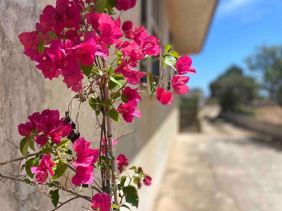 Ificumori, Campagna Ammare Villa Марина ди Модика Екстериор снимка