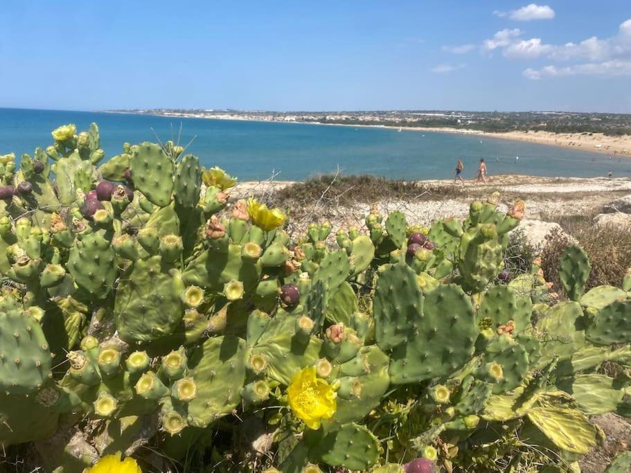 Ificumori, Campagna Ammare Villa Марина ди Модика Екстериор снимка