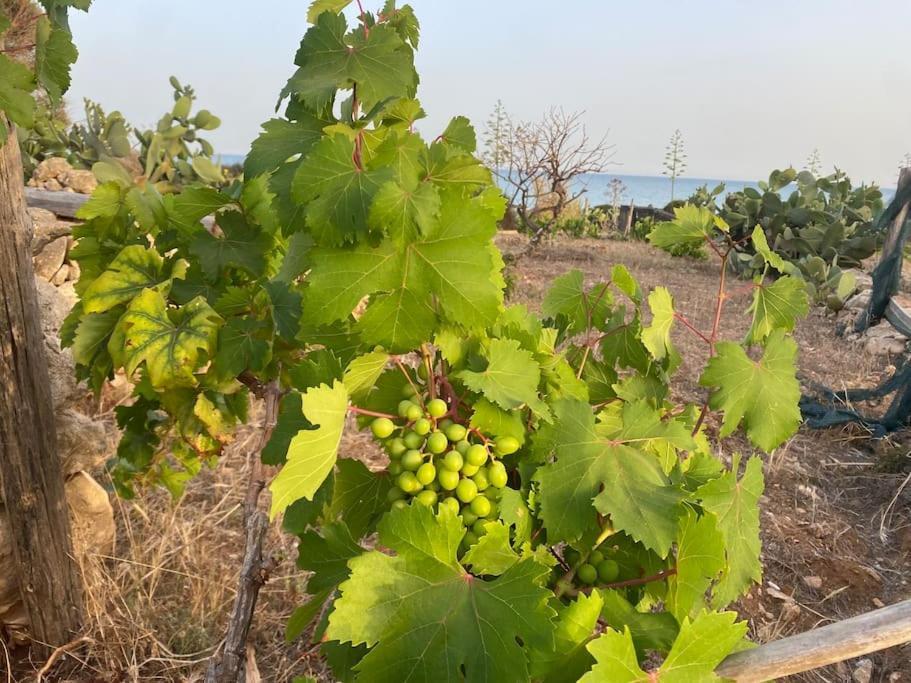 Ificumori, Campagna Ammare Villa Марина ди Модика Екстериор снимка