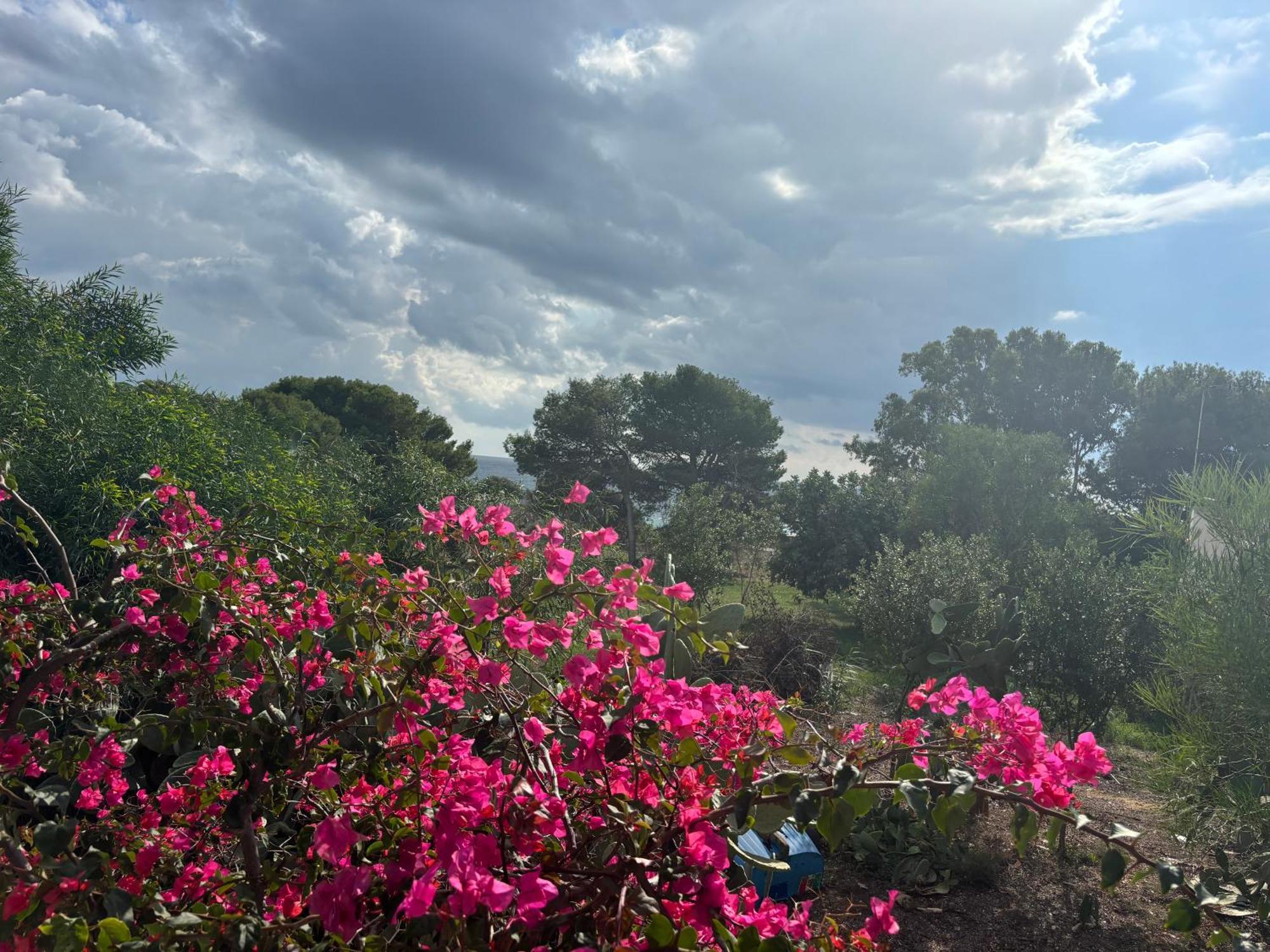 Ificumori, Campagna Ammare Villa Марина ди Модика Екстериор снимка